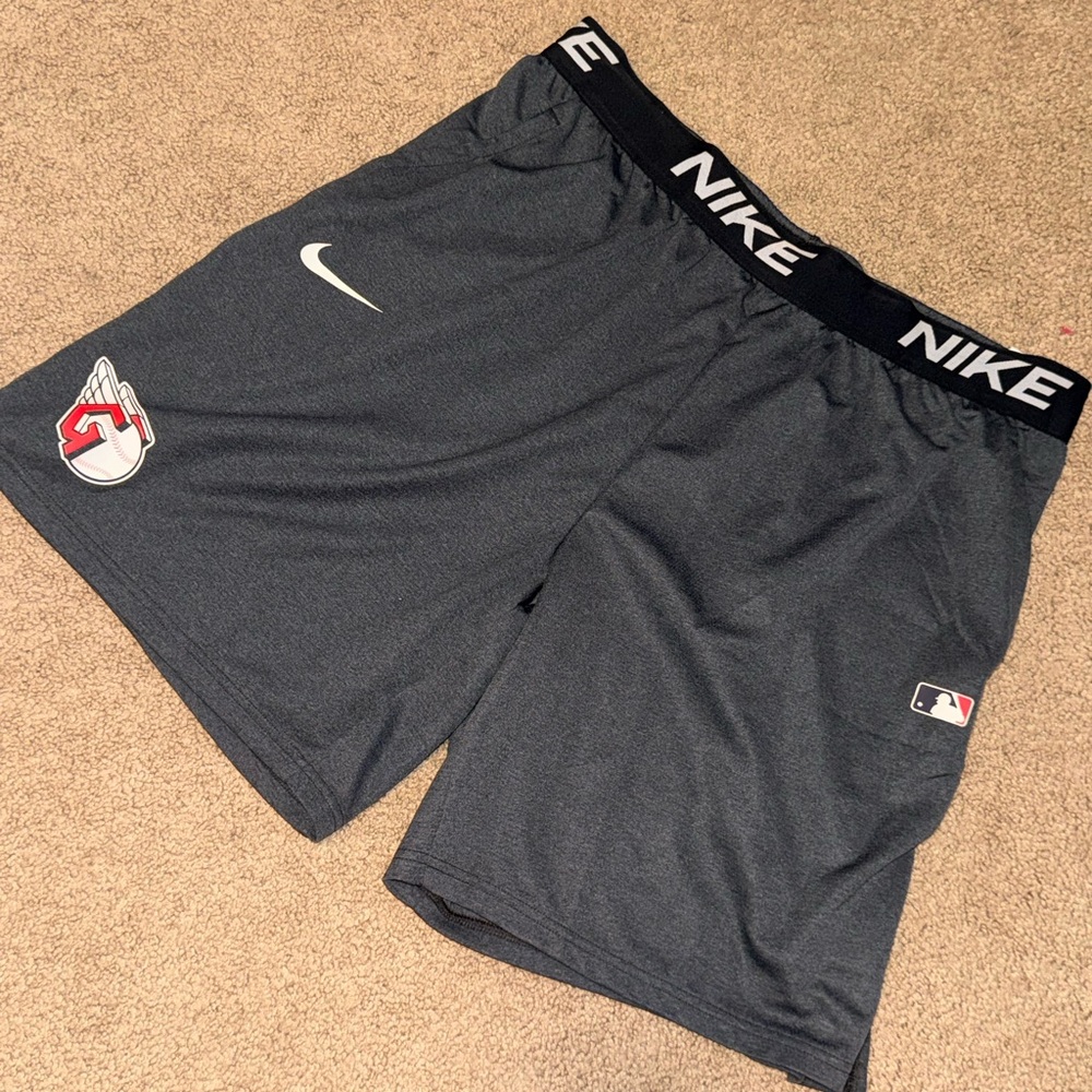 Nike Guardian Gray Athletic Shorts